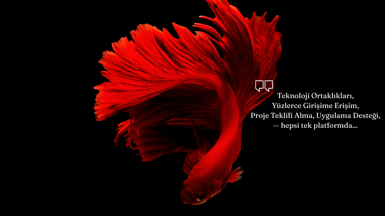 {"text":"Rekabet için Teknoloji","font_size":"2","color":"#ffffff","align":"flex-start","padding":"20"}