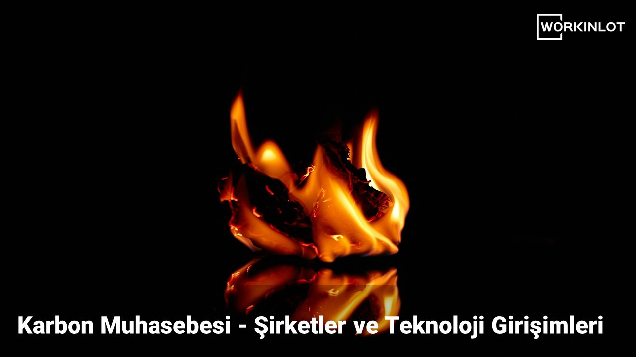 Karbon Muhasebesi - Şirketler ve Teknoloji Girişimleri